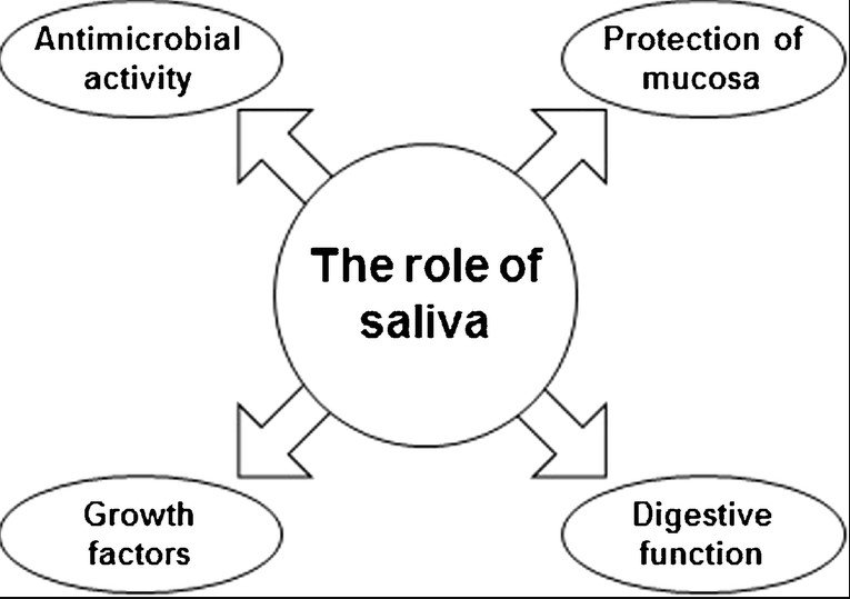 Power of Saliva